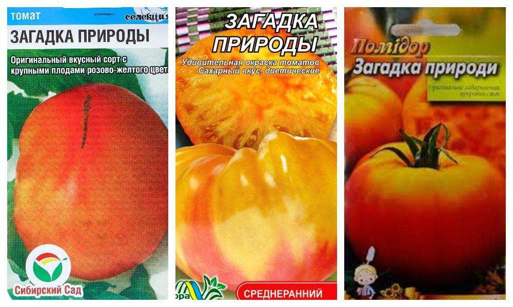 Томат "загадка природы": описание сорта, рекомендации по выращиванию отличного урожая помидор, фото-материалы русский фермер