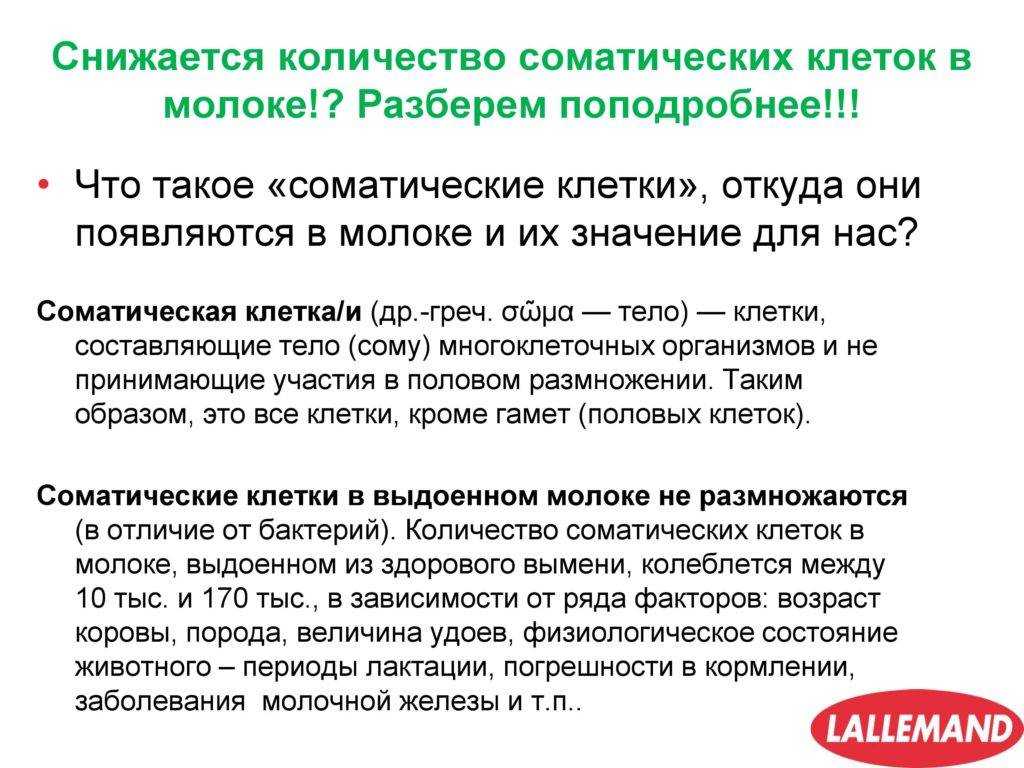 Диета против рака: какие продукты полезны для профилактики онкологии