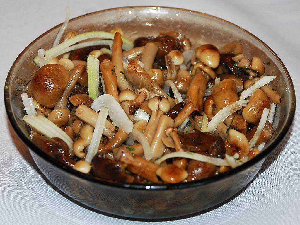 Груздянка: лучшие рецепты супа из королевских грибов