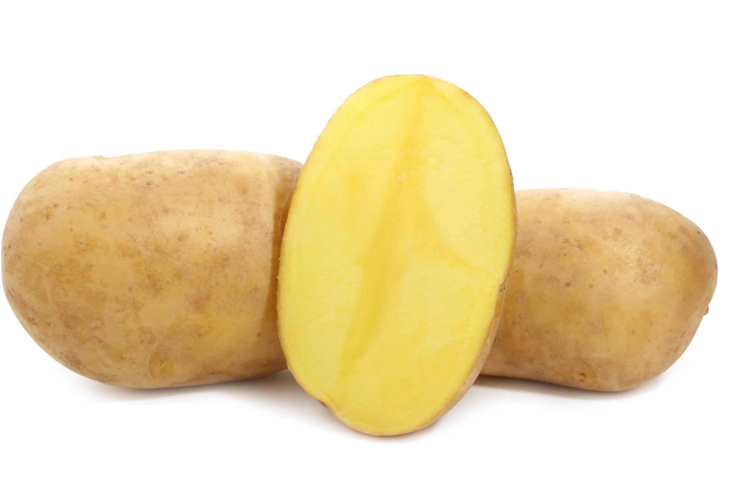 Сорт картофеля джелли: характеристика