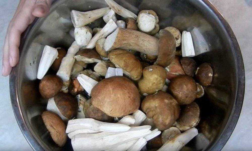 Маринованные подберезовики: пошаговые рецепты приготовления с картинками
