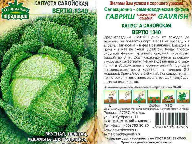 Капуста описание сорта фото отзывы. Капуста савойская Вертю. Капуста савойская 1340. Капуста савойская семена рассаду. Капуста Вертю 1340.