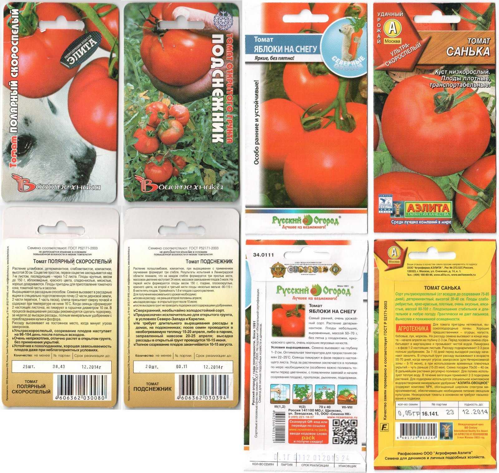Выращивание помидор черри: полезные свойства томата, способы, выбор сорта, уход и сбор урожая