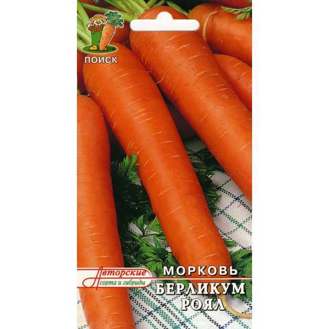 Морковь берликум роял: описание сорта, фото, отзывы