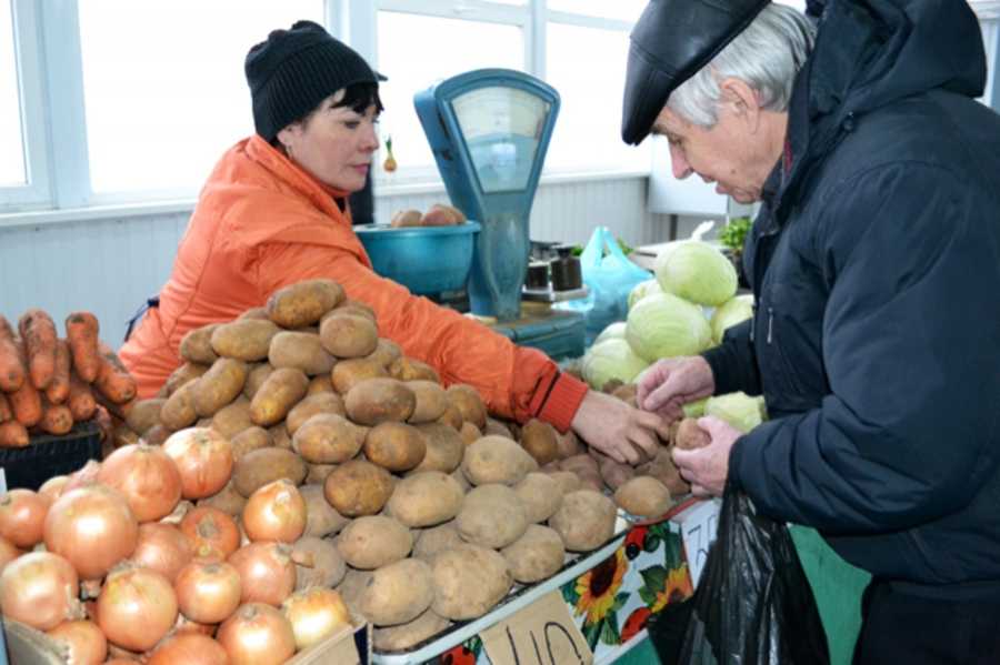 Покупка картофеля: какие сорта выбрать на supersadovnik.ru