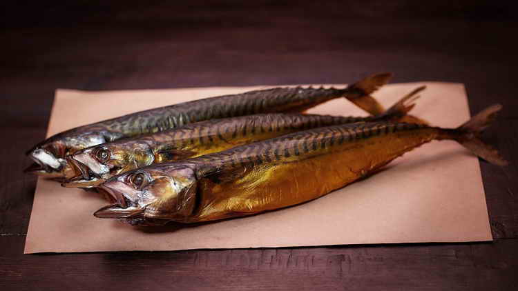Скумбрия — польза и вред для организма и отзывы врачей 🐟