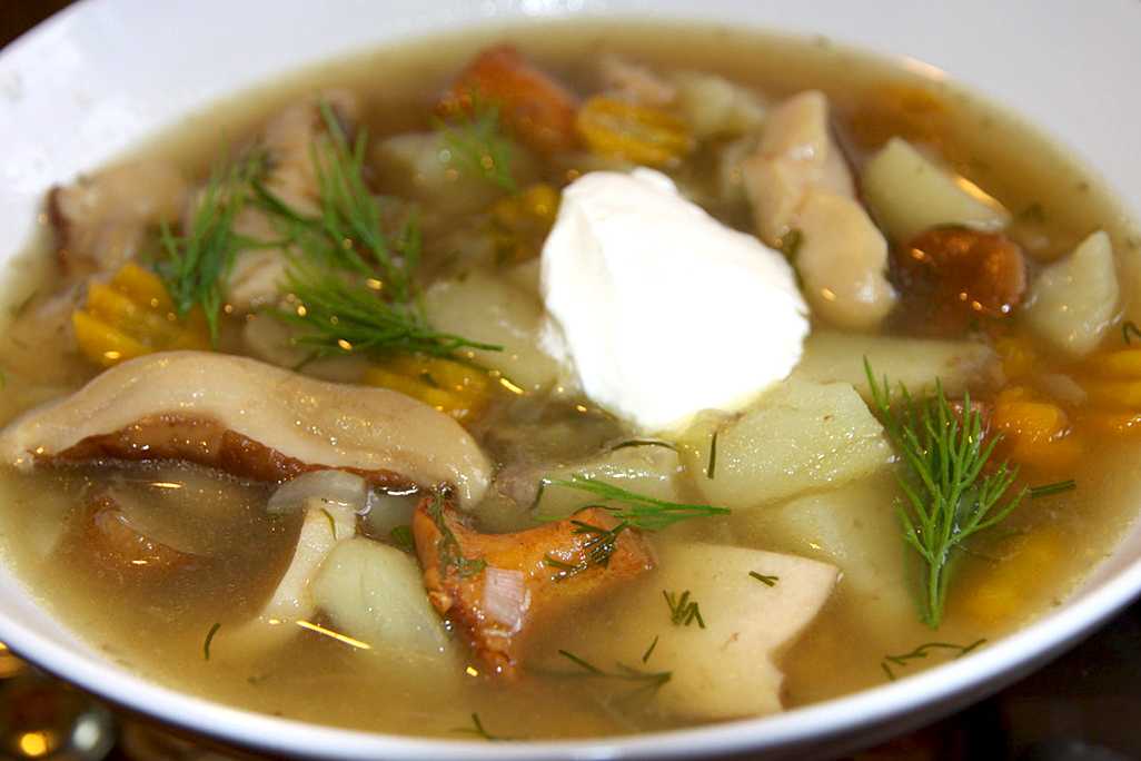 Как сварить грибной суп из сушеных и замороженных грибов