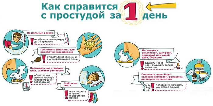 Инструкция по уходу и приготовлению напитка чайного гриба