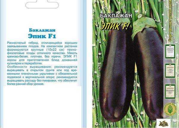 Баклажан рома f1: описание и характеристика сорта, урожайность с фото
