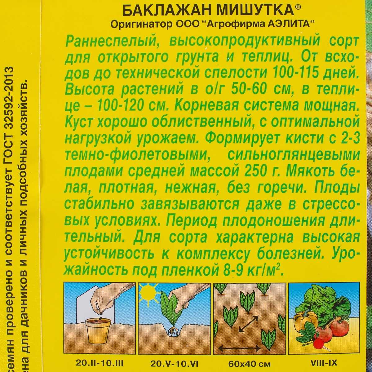 Отзывы о сортах баклажанов: выращиваю их в открытом грунте