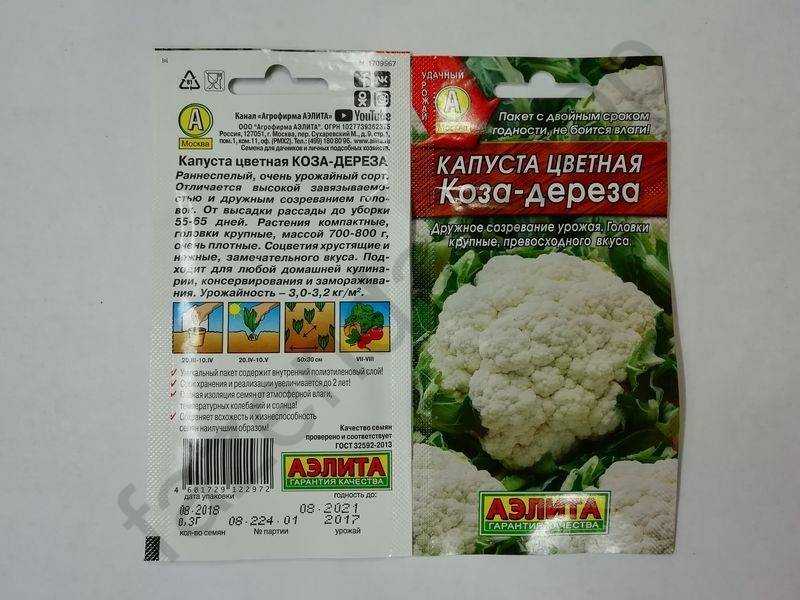 Цветная капуста коза-дереза: выращивание и уход - домашние наши друзья
