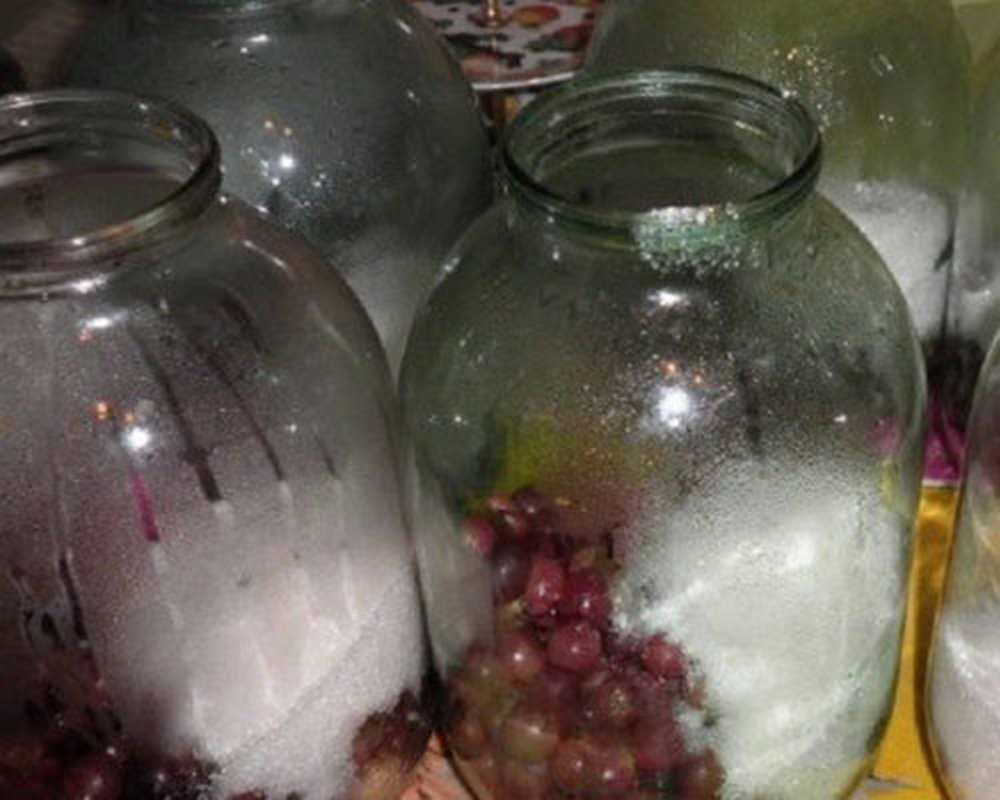 Компот из винограда без стерилизации в 3-х литровой банке на зиму - 8 простых рецептов в домашних условиях