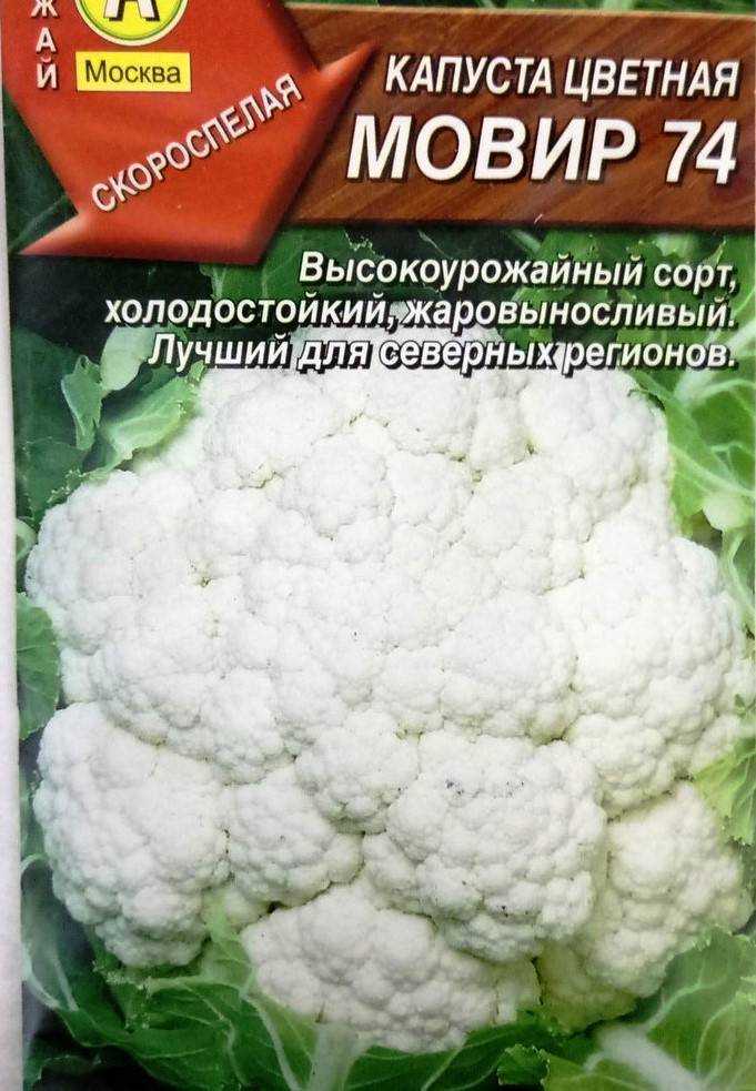 Сорта цветной капусты для Подмосковья: как выбрать, характеристика лучших гибридов Сроки закладки семян, условия для выращивания, агротехника