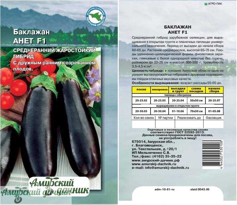Сорта белых баклажанов для открытого грунта