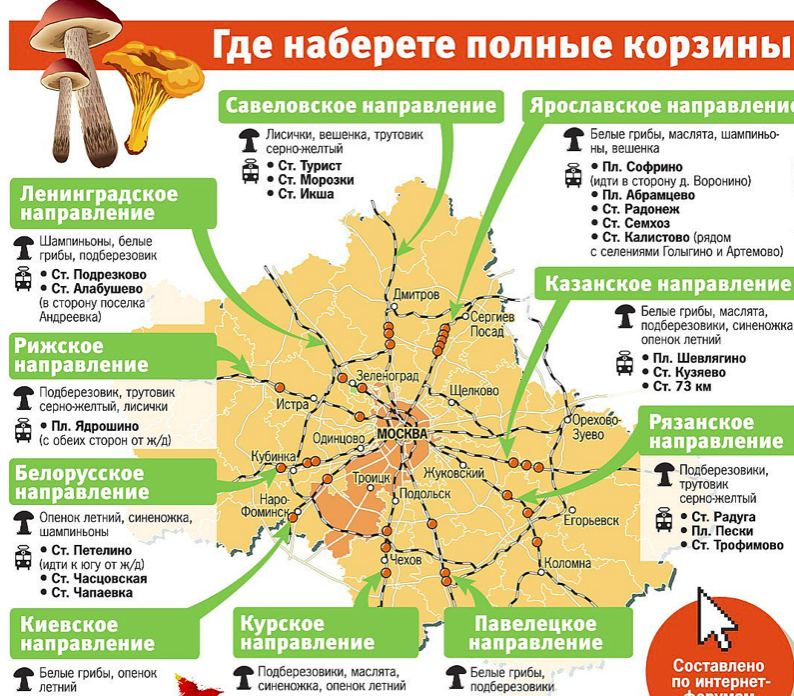Грибы в краснодарском крае в 2022 году: лучшие места и сезон сбора