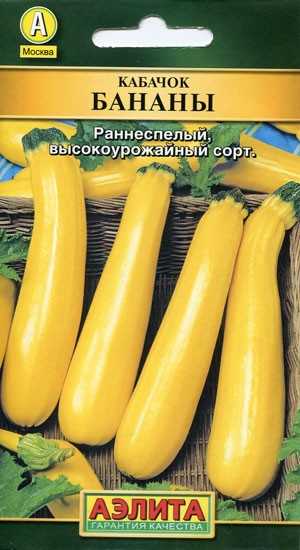 Кабачки кустовые: урожайные сорта, описания, фото, отзывы • удачный проект