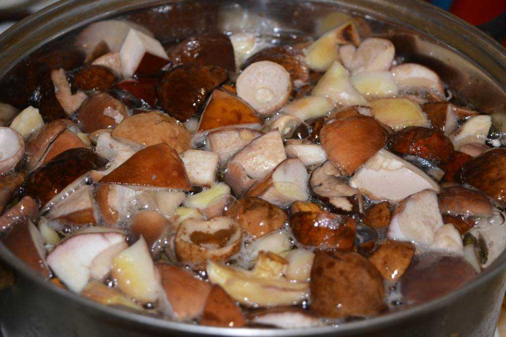 Как готовить грибы рыжики: варианты блюд, как жарить и сколько варить грибы