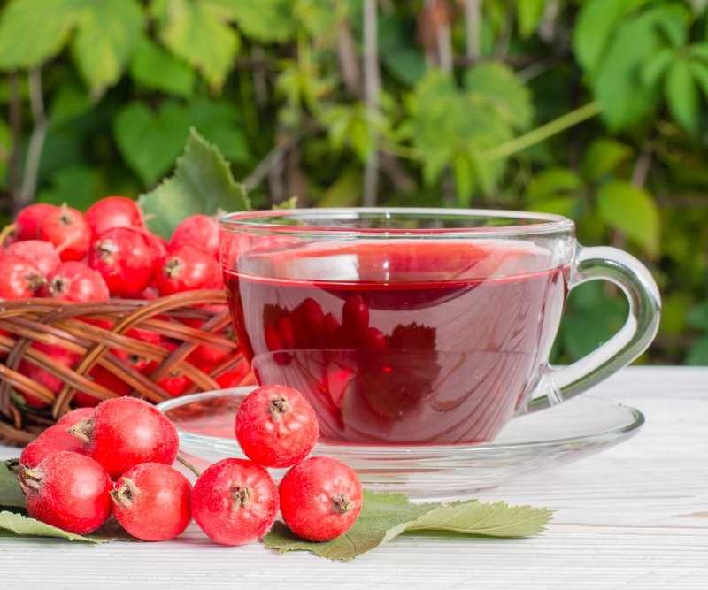 Чай из боярышника польза и вред🌿, 15 полезных свойств, исследования, рецепты