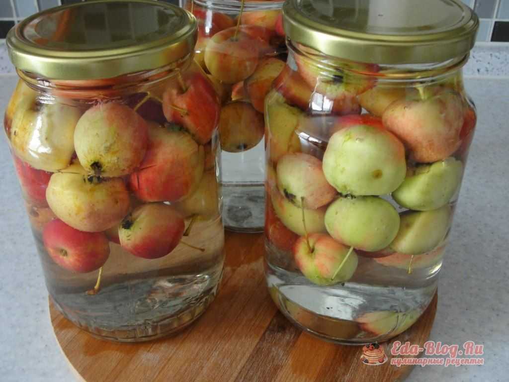 Рецепты компота из яблок на зиму в банках 3 литра без стерилизации