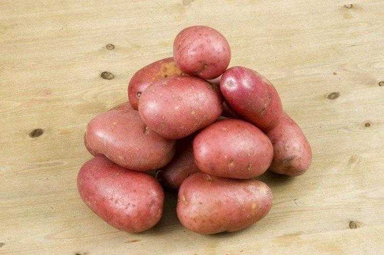 Внекорневая подкормка картофеля