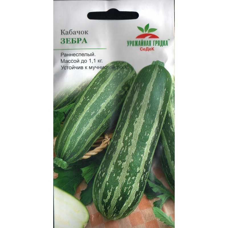 Кабачок зебра: описание сорта, фото, отзывы — selok.info