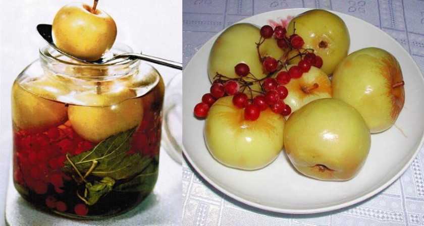 Маринованные сливы на зиму: 6 простых рецептов приготовления в домашних условиях