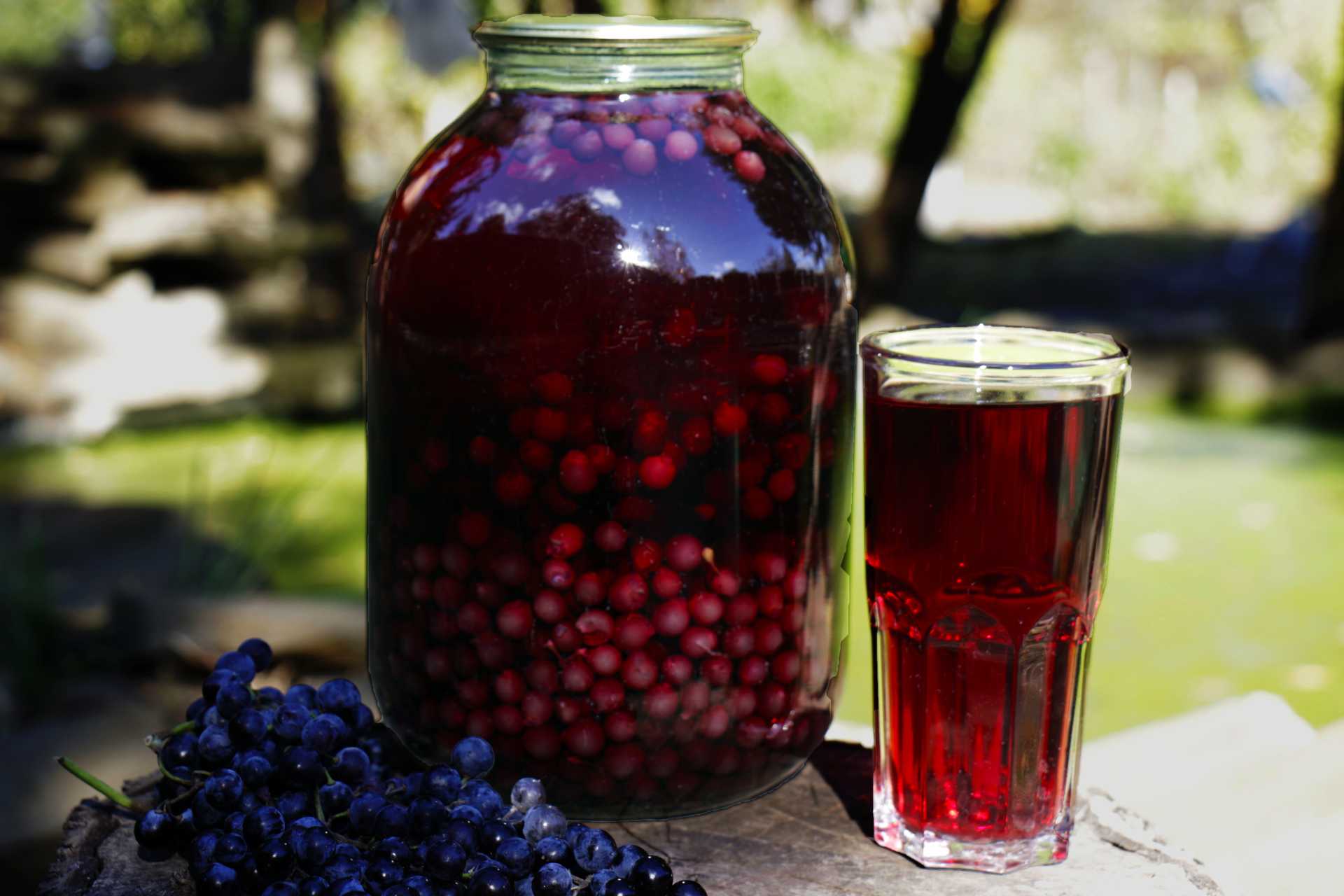 Компот из винограда изабелла на зиму – напиток с неповторимым ароматом. лучшие рецепты компота из винограда изабелла на зиму