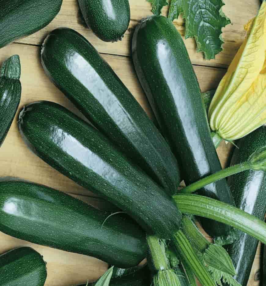 Чем отличаются кабачки от цукини: в чем заключается разница между овощами
