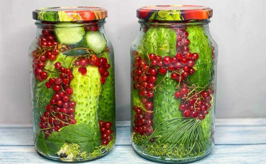 Маринованные хрустящие огурцы: 14 самых вкусных рецептов на зиму