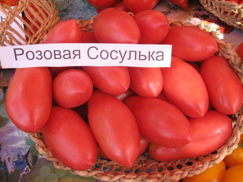 Розовые помидоры: лучшие сорта с фото и названиями (каталог)