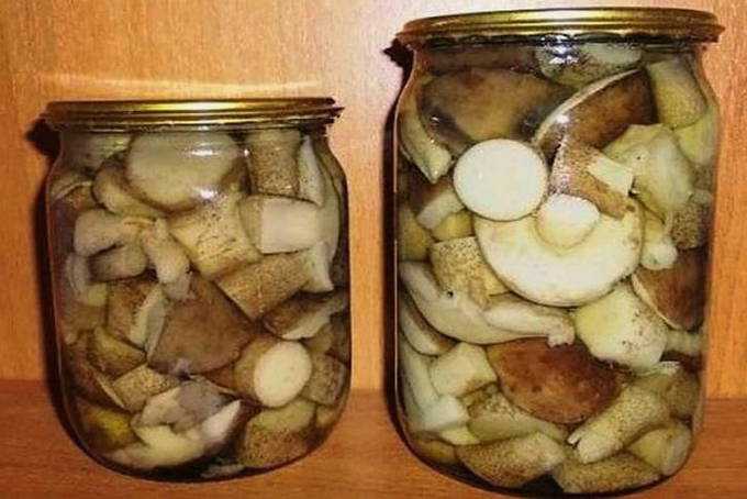 Маринованные грибы на зиму: рецепты