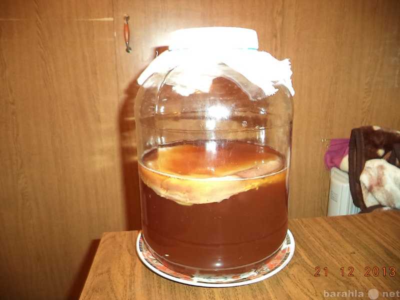 Изучение физико-химических свойств раствора чайного гриба во время его культивирования