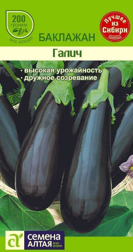 Баклажан галич: описание и характеристика сорта, урожайность с фото