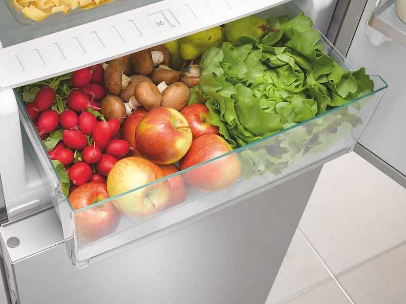 Как хранить редиску: 4 способа хранения в холодильнике и 1 — для заготовки на зиму