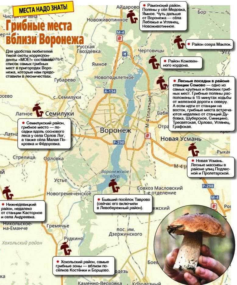 Грибная карта краснодарского края