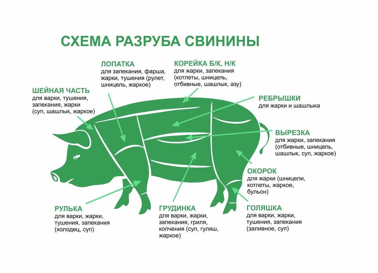 Названия разделки свинины. Рубка мяса свинины схема. Части свиной туши схема. Карбонат часть туши свиньи. Схема разруба мяса.