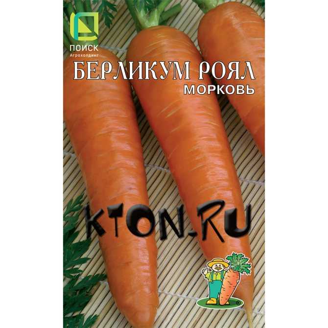 Морковь берликум роял: описание и характеристика сорта, выращивание и уход, фото