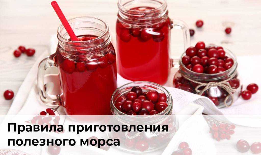 Сок из черноплодной рябины: самые популярные рецепты – как сделать сок из черноплодки на зиму в домашних условиях » сусеки