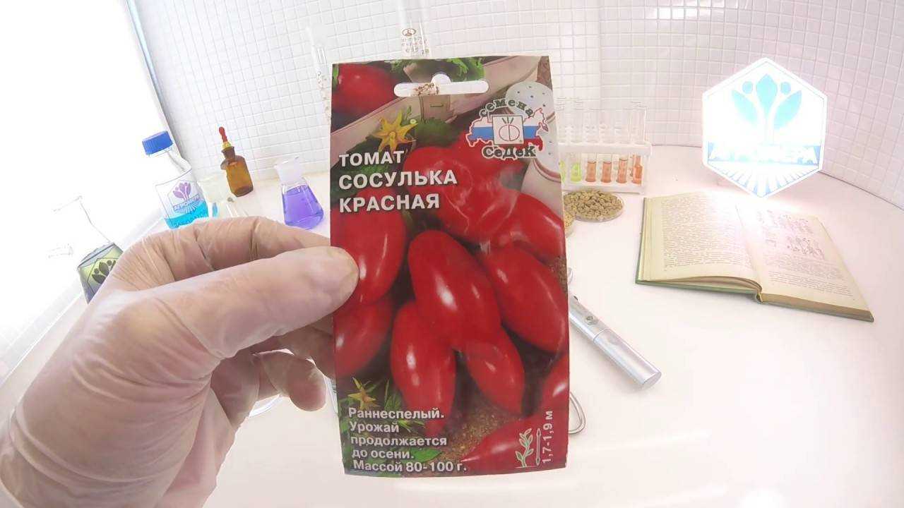 Описание, характеристика, посев на рассаду, подкормка, урожайность, фото, видео и самые распространенные болезни томатов сорта «сосулька красная».