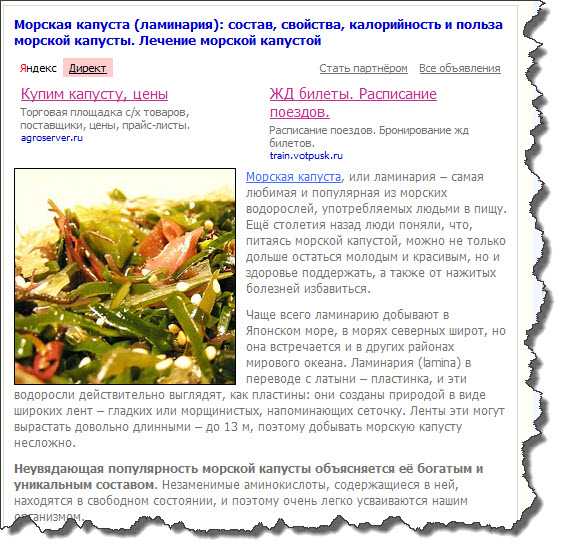 Белокочанная капуста: вред и польза, калорийность, витамины