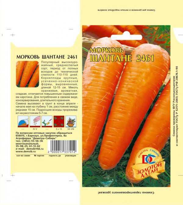 Лучшие сорта моркови для средней полосы россии для открытого грунта: описание с фото, отзывы