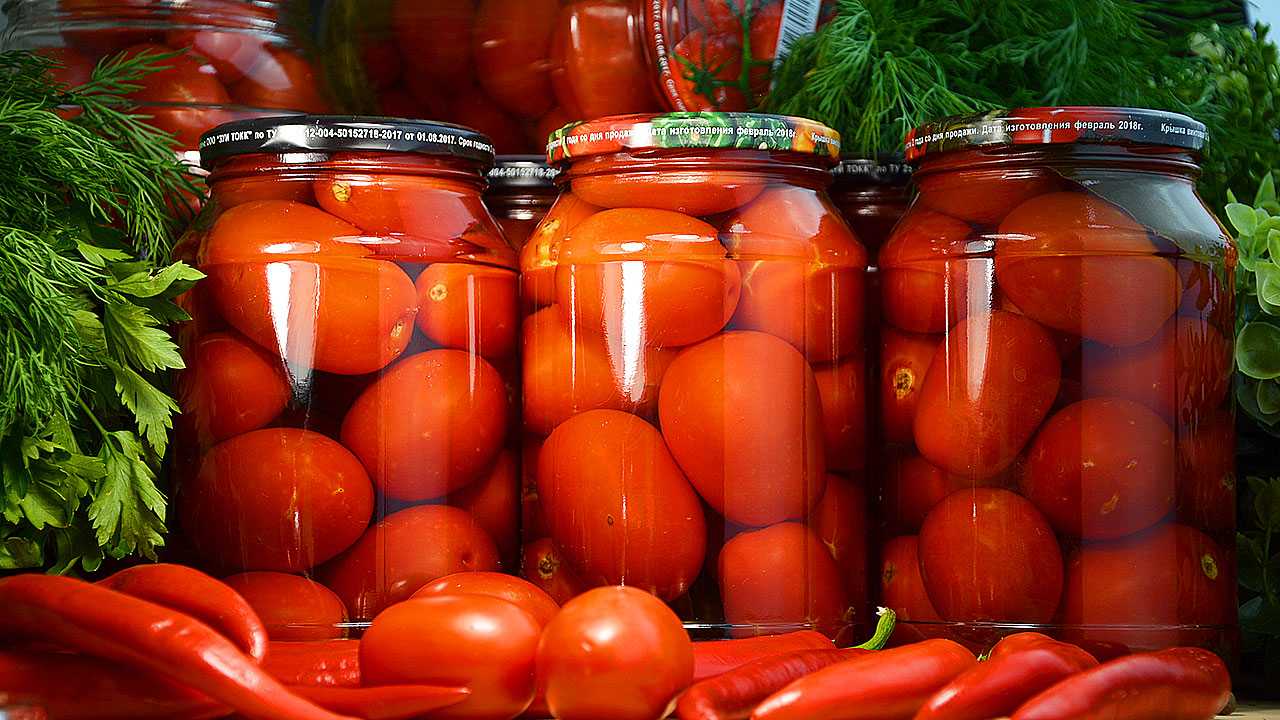 Домашние квашеные помидоры (как бочковые): рецепты в банках и ведрах на зиму