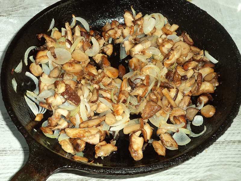 Рецепты приготовления волнушек грибов
