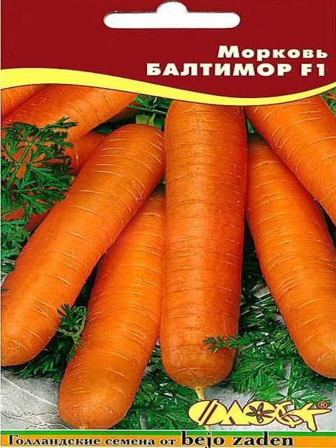Лучшие сорта моркови для средней полосы россии для открытого грунта: описание с фото, отзывы