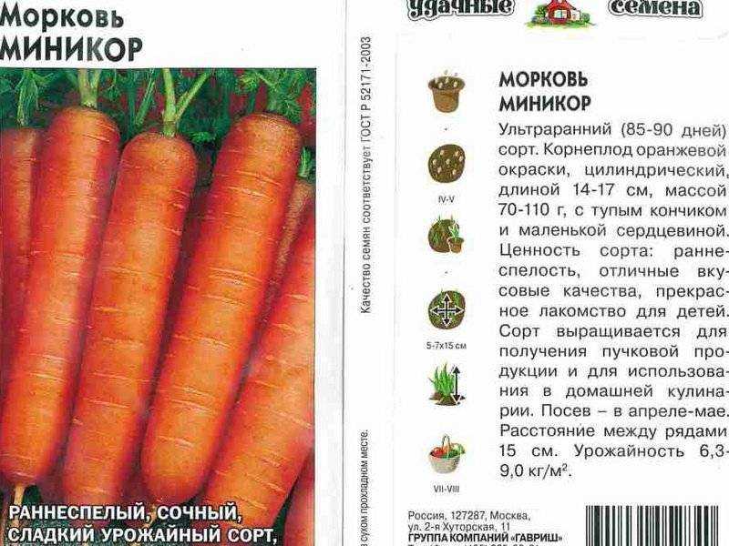 Лучшие сорта моркови: для хранения, ранние, крупные, сладкие, для сибири, подмосковья, урала, средней полосы, для открытого грунта