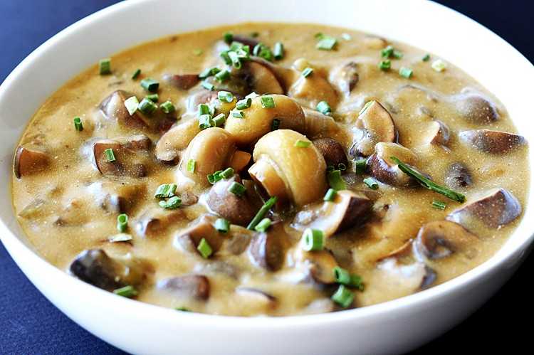 Грибной суп из груздей: рецепты из свежих, соленых и замороженных грибов