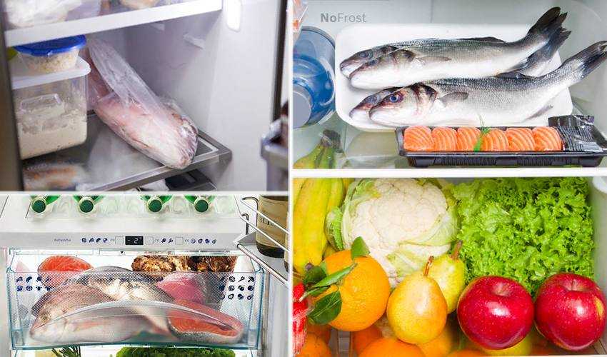 Как хранить копченое в холодильнике. Рыба в морозилке. Хранение рыбы в холодильнике. Хранение рыбы в морозильной камере. Замороженная рыба в холодильнике.