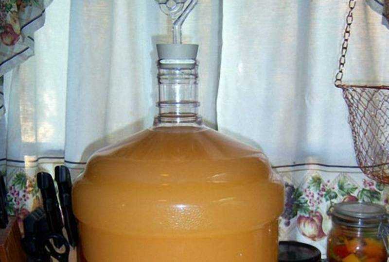 Вино из яблок в домашних условиях: простой рецепт и отменный результат
