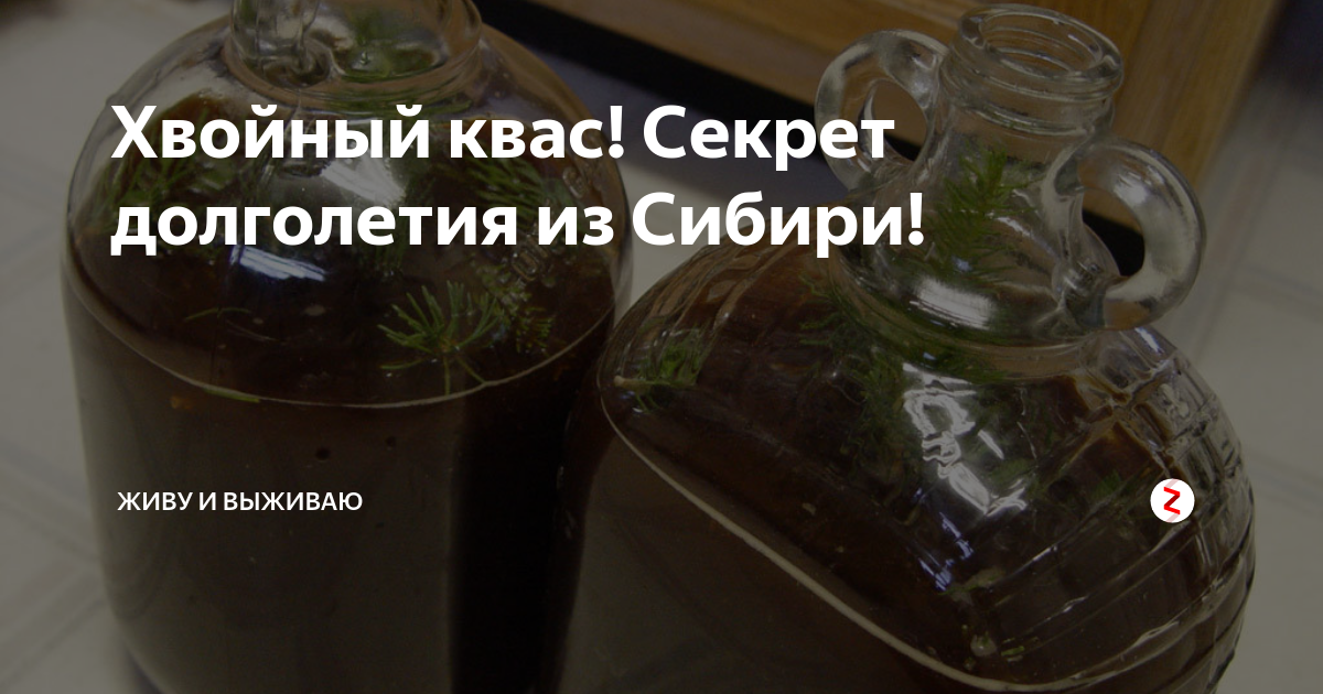 Напитки на меду / старинные и современные рецепты – статья из рубрики "как готовить" на food.ru