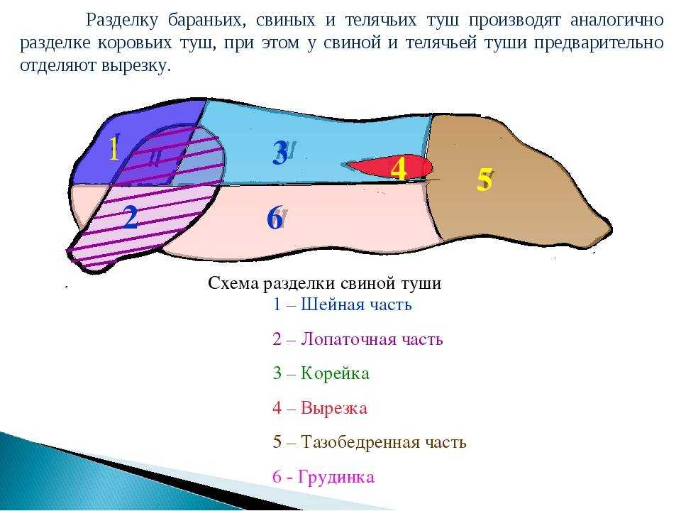 Части свинины. Схема разруба туши свинины. Разруб свиной туши на части. Разруб свинины схема для магазина. Разделочная схема свиной туши.